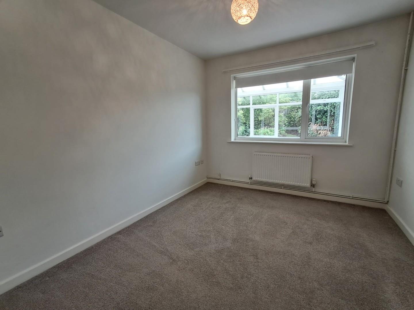 room.jpeg